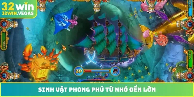 Sinh vật phong phú từ nhỏ đến lớn